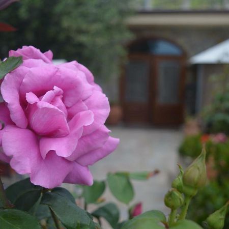 B&B Nonna Valentina Centola Exterior foto