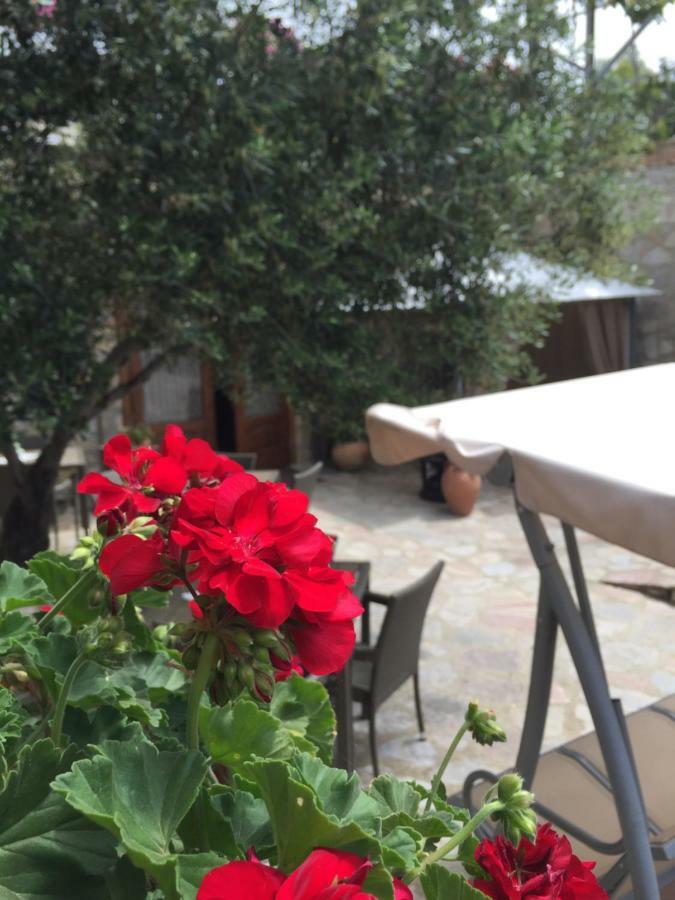 B&B Nonna Valentina Centola Exterior foto