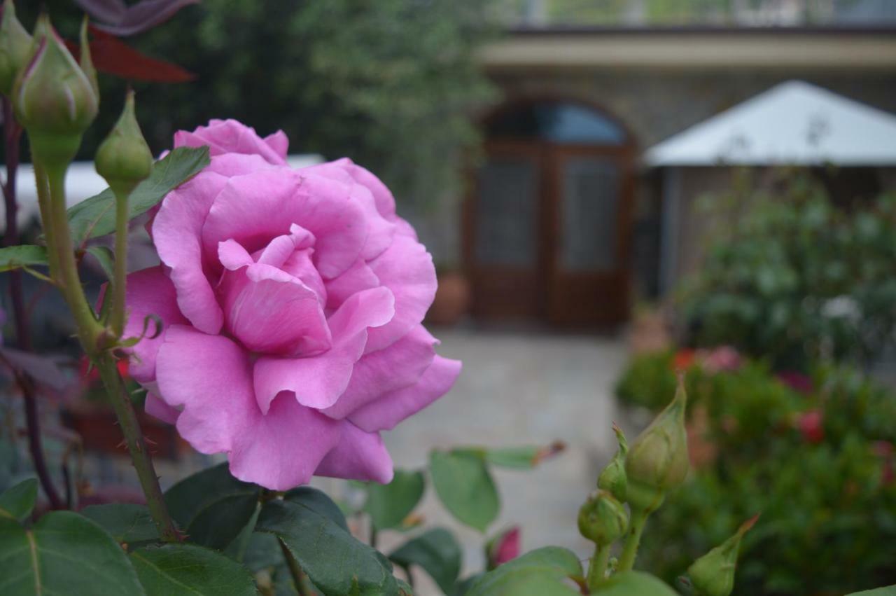 B&B Nonna Valentina Centola Exterior foto