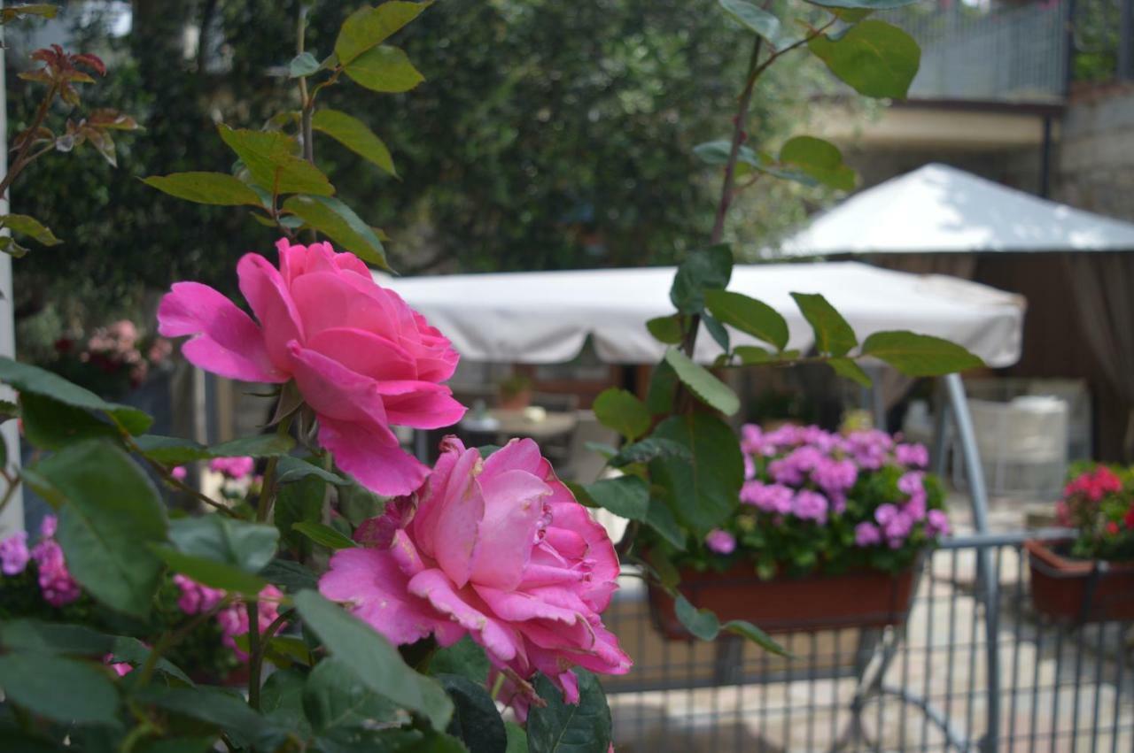 B&B Nonna Valentina Centola Exterior foto