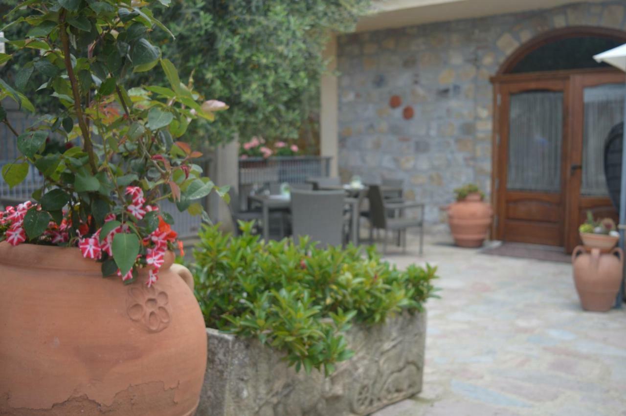 B&B Nonna Valentina Centola Exterior foto